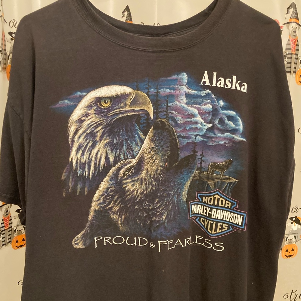 Original vintage Alaska Harley Davidson shirt 2XL